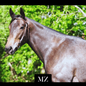 LOTE 15 - CELERITAS IMPERIUM