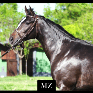 LOTE 32 - NUDA PROPIEDAD