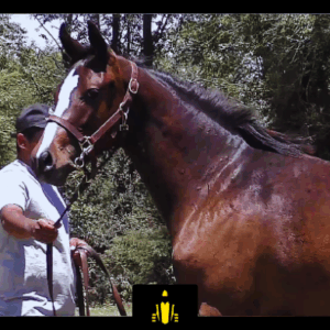 LOTE 15 - COSTA SECRET