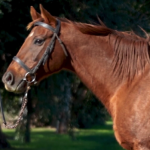 LOTE 18 - UPDATE