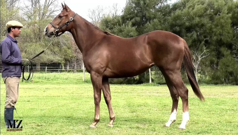 ADIVINA