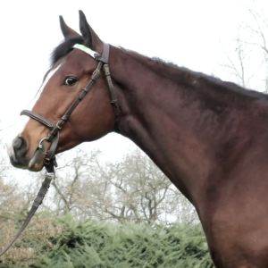 LOTE 07 - CREMALLERO