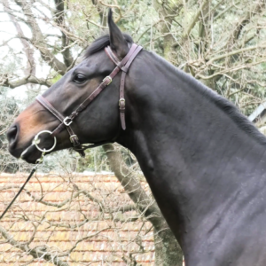 LOTE 22 - CROMO