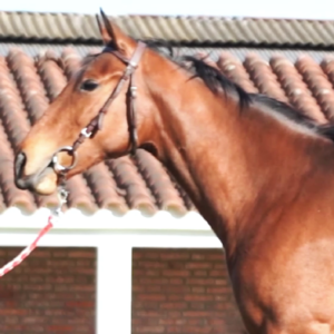 LOTE 21 - SOR SOPHIE