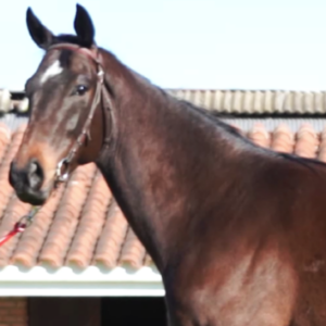 LOTE 14 - TAHOMA ISLAND