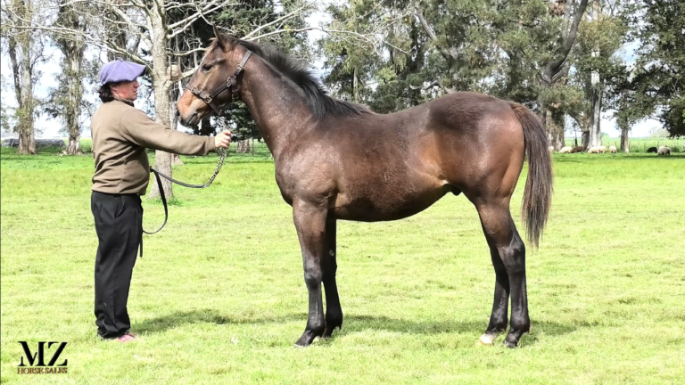 REQUINTO